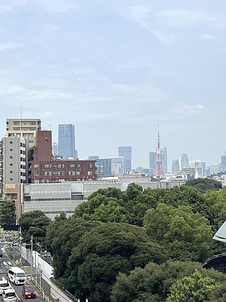リビング及びルーフバルコニーより東京タワーが見えます