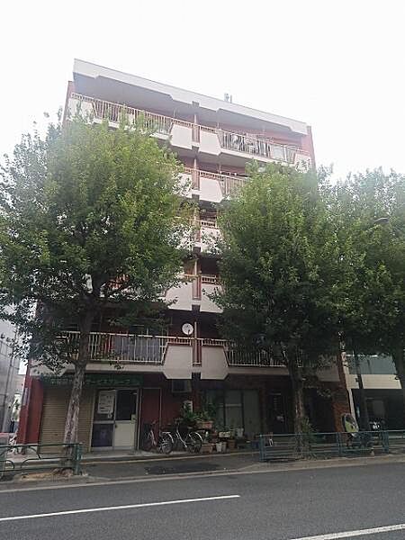 外観：313004901068
