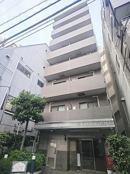 外観：313004901065
