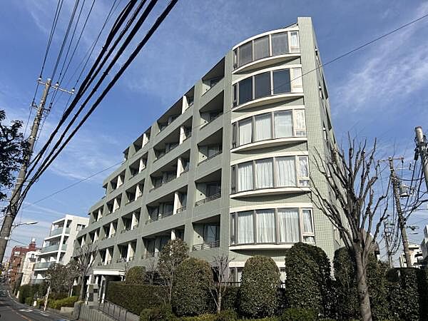 外観：313004701906