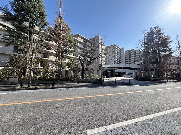 外観：313004657634