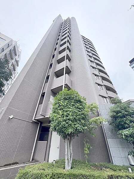 外観：313004935925