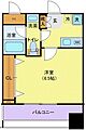 リクレイシア西横浜11階9.1万円