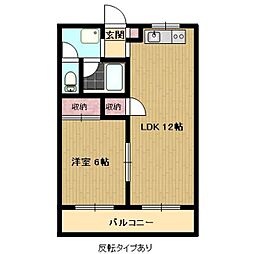 エディフィスみとみ 1階1LDKの間取り