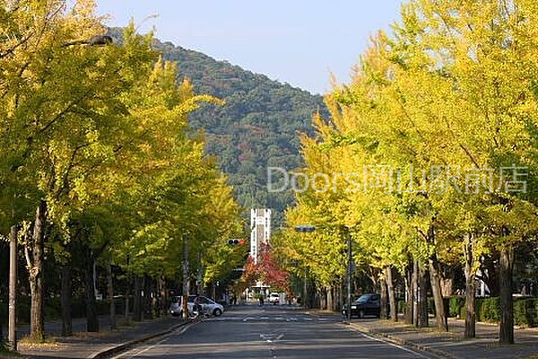 画像24:岡山大学 津島キャンパス 1428m