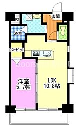 アリビオ高柳 5階/-