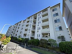 藤阪ハイツＤ六棟　中古マンション