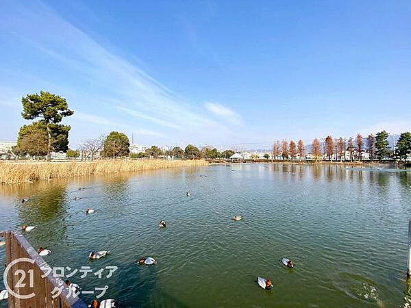 弁天池公園 徒歩7分。 530m