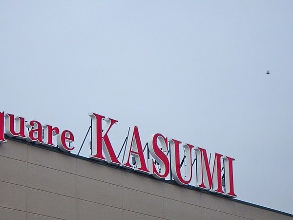 画像23:カスミ古河店 980m
