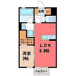 コスモス新花 2階/-