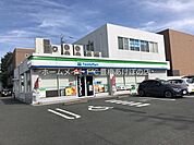 ファミリーマート豊橋東脇店 803m