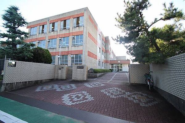 画像24:村雲小学校 541m