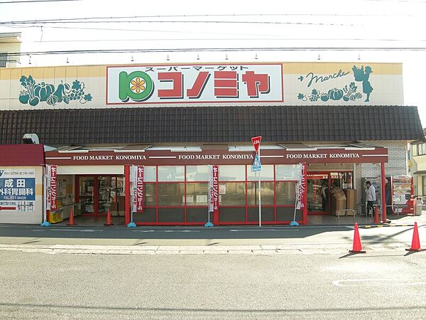 画像25:コノミヤ中根店 805m