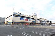 フィールシャンピアポート 1132m