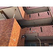 メゾン菊住の賃貸物件