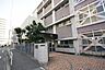 周辺：橘小学校 608m
