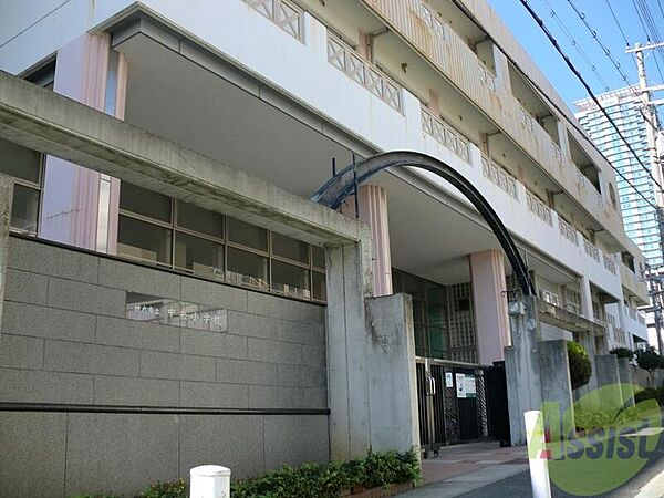 画像30:神戸市立中央小学校 815m