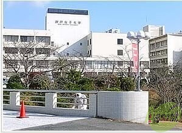 画像29:神戸女子大学 6338m