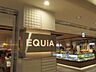 周辺：ＥＱＵＩＡ 625m