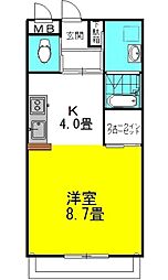 シティコートII 1階ワンルームの間取り