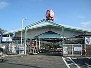 コメリハード＆グリーン神栖店 1847m