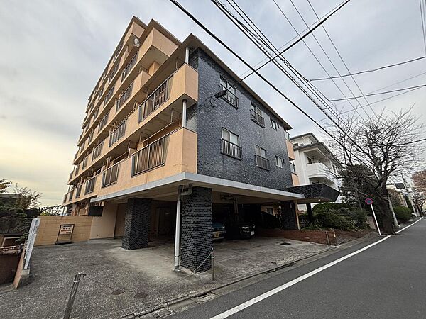 外観：313004284230