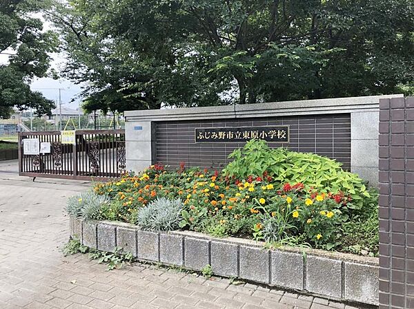 東原小学校　徒歩10分