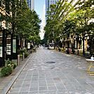 丸の内仲通り