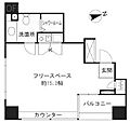 ビュロー新橋5階19.8万円