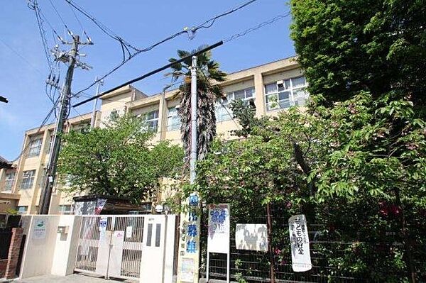岸和田市立大芝小学校560ｍ