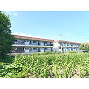 市村コーポ第１ 2階 築41年7ヶ月の賃貸物件