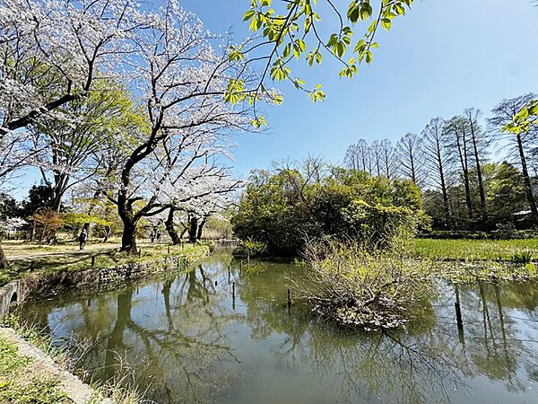 善福寺公園（下の池）まで487m