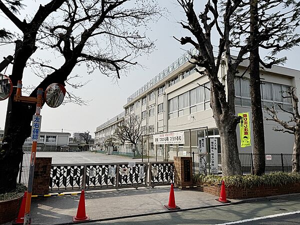 連雀学園三鷹市立第四小学校まで904m