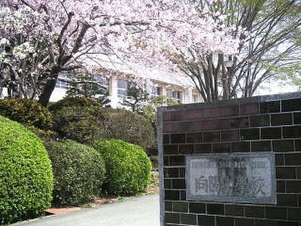 杉並区立向陽中学校まで265m