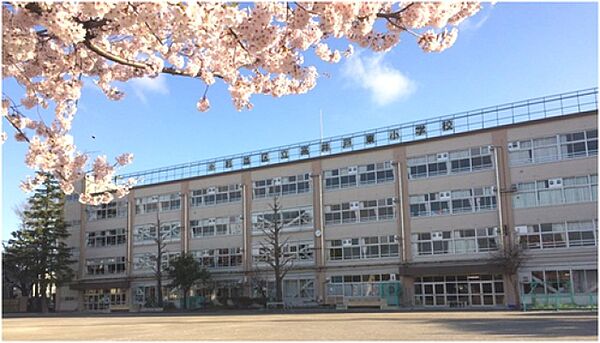 杉並区立高井戸東小学校まで1194m