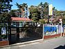 周辺：杉並幼稚園まで339m