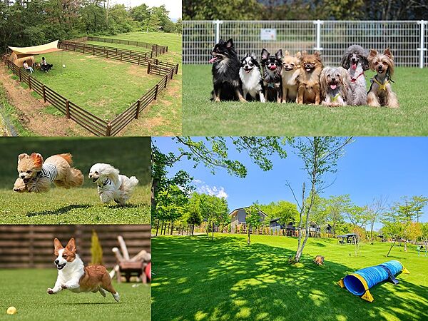 奥行きの広さを活かして、愛犬が走り回れるドッグランを作るのも良い