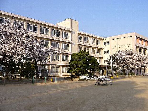 【小学校】姫路市立水上小学校まで1782ｍ