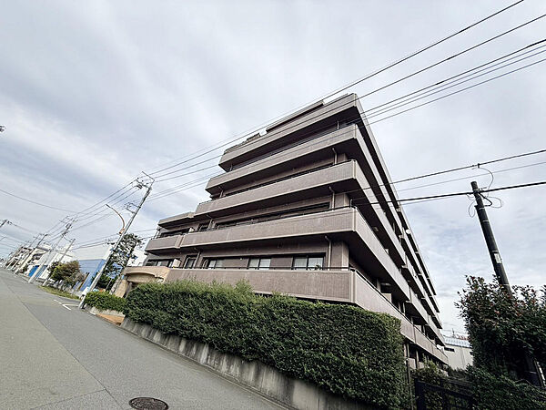 外観：313004481115