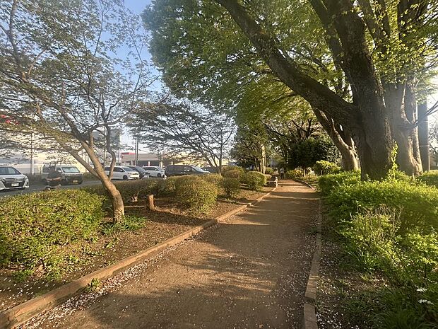 東原公園まで150m