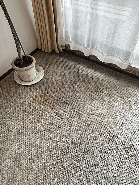 apartment 茨城県稲敷郡阿見町うずら野４丁目
地図を見る