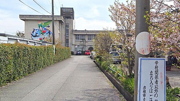 彦根市立中央中学校まで約1,000m