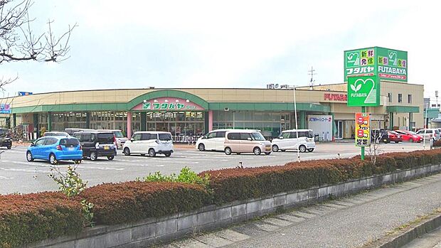 ショッピングセンターフタバヤ彦根店まで約2,400m