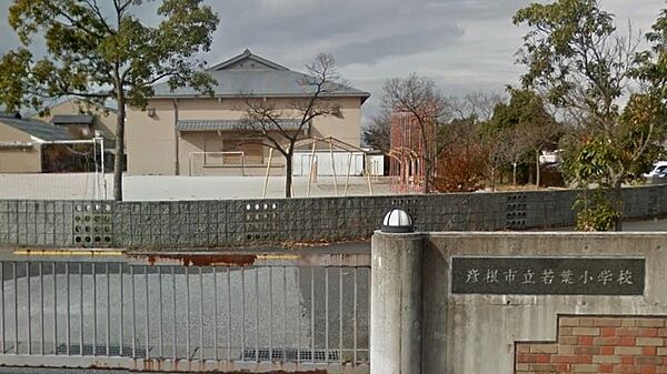 彦根市立若葉小学校まで約720m