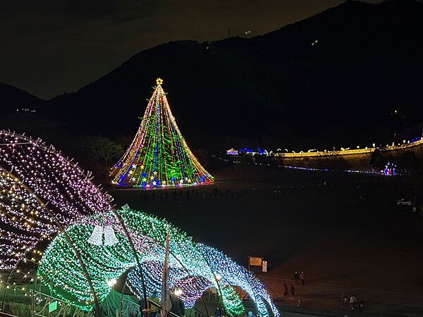 宮ケ瀬のクリスマスツリーです。イルミネーションがとても奇麗です。