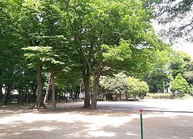 【公園】大泉公園まで1043ｍ