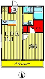 シャテロハイム 1LDKの間取図画像