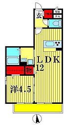 グレイス 1LDKの間取図画像
