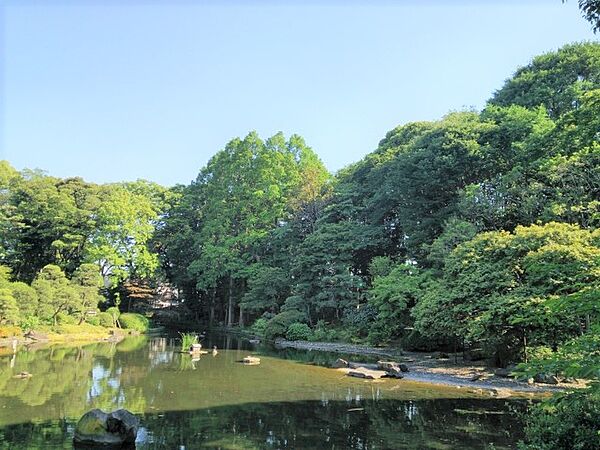 お子様とのお散歩やペットとのふれあいなど、日常の中で閑静な自然のゆとりを感じていただくことができます。