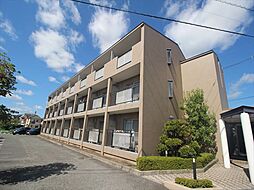 シビカエーノス